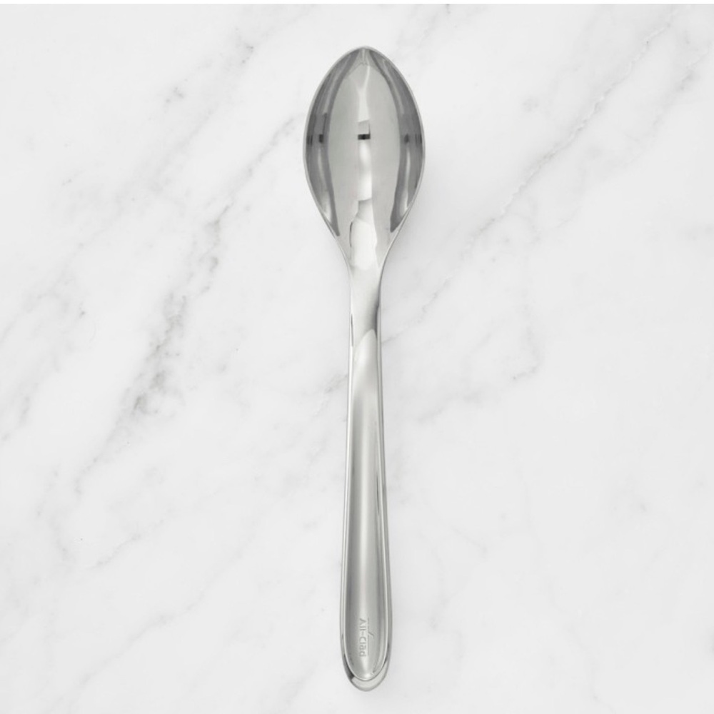 Stainless Steel Serving Spoon